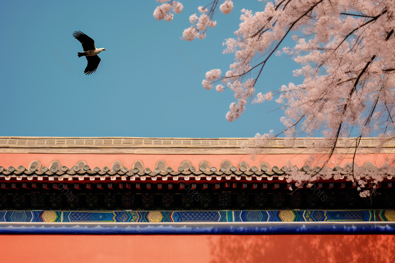 宫墙宫苑飞鸟鲜花树春景摄影,高清,摄影图,摄影图片,图片大全,摄影图免费下载